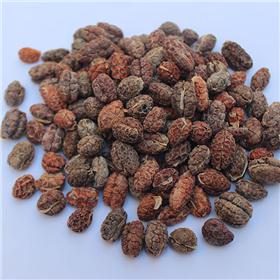 红砂 去皮 化湿行气 温脾止泻 安胎