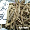 香五加皮 优质大货 祛风湿 补肝肾 强筋骨