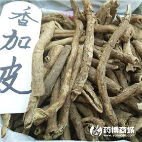 香五加皮 优质大货 祛风湿 补肝肾 强筋骨