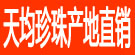 天均珍珠产地直销