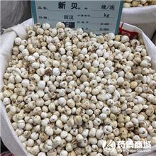 新疆贝母 优质大货 ..