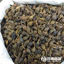 连翘 优质大货 清热..