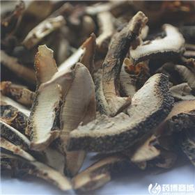 枳实丝