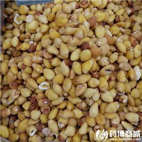 白果仁 广西 敛肺定喘 止带缩尿