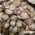 槟榔  质优价廉 驱虫 消积 下气 行水