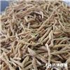 太子参 优质大货 益气健脾 生津润肺