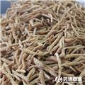 太子参 优质大货 益气健脾 生津润肺