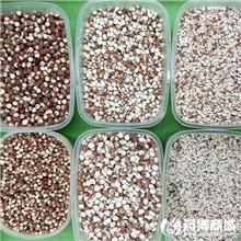 芡实 优质大货 益肾..