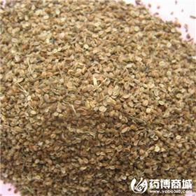 蛇床子 优质大货 温肾壮阳 燥湿杀虫
