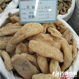 天麻 优质价廉 大货 平肝息风止痉