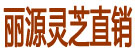 丽源灵芝直销