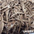 灵芝 片子 优质大货 清热解毒 消肿散结