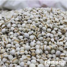 薏米仁 优质价廉 利..