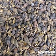 连翘 优质大货 清热..