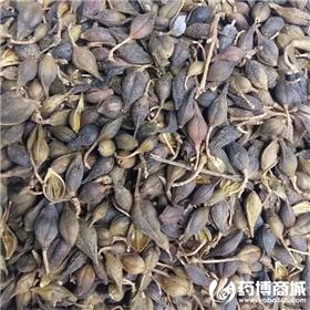 连翘 优质大货 清热解毒 消肿散结