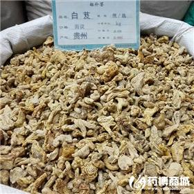 白芨 贵州  优质大货 收敛止血 消肿生肌