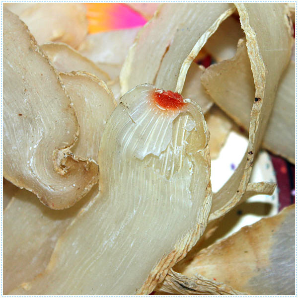 天麻片（片子 三、四级）