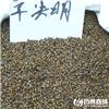草决明 优质大货 清热明目 润肠通便