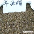 草决明 优质大货 清热明目 润肠通便