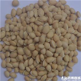 白扁豆