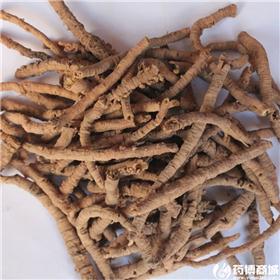 远志 大选 0.5 优质大货 安神益智 祛痰 消肿