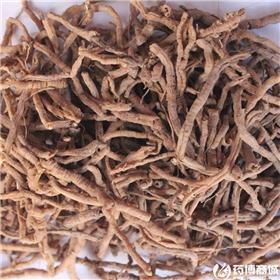 远志 统  安神益智 祛痰 消肿