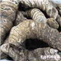 重楼 优质大货 清热解毒 消肿止痛
