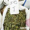 地丁 优质大货 清热利湿 解毒消肿