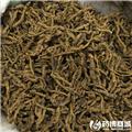 黄连 优质大货 清热燥湿 泻火解毒