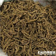 黄连 优质大货 清热..