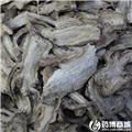 当归 优质大货 补血活血 调经止痛 润肠通便