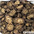 羌活 优质大货 散寒 祛风 除湿 止痛
