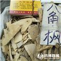 八角枫 优质大货 祛风除湿 舒筋活络 散淤止痛