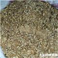 麦芽 优质大货 消食健胃 回乳消胀