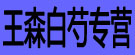 王森白芍专营