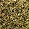 伸筋草 原产大货