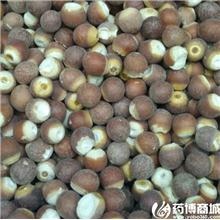 芡实 优质大货 益肾..