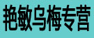 艳敏乌梅专营