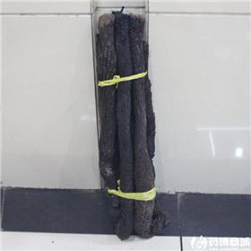 肉苁蓉 精选 个 新疆 补肾阳 益精血 润肠通便