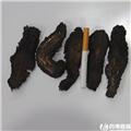 肉苁蓉 选装 内蒙 补肾阳 益精血 润肠通便