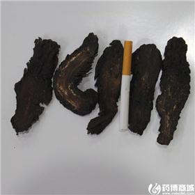 肉苁蓉 选装 内蒙 补肾阳 益精血 润肠通便