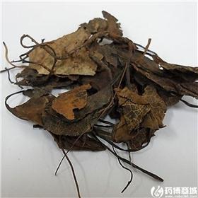 鹿含草 优质大货 怯风除湿 强壮筋骨