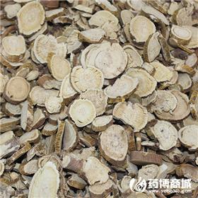 苦参 优质大货 清热燥湿 杀虫 利尿