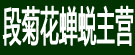 段菊花蝉蜕主营