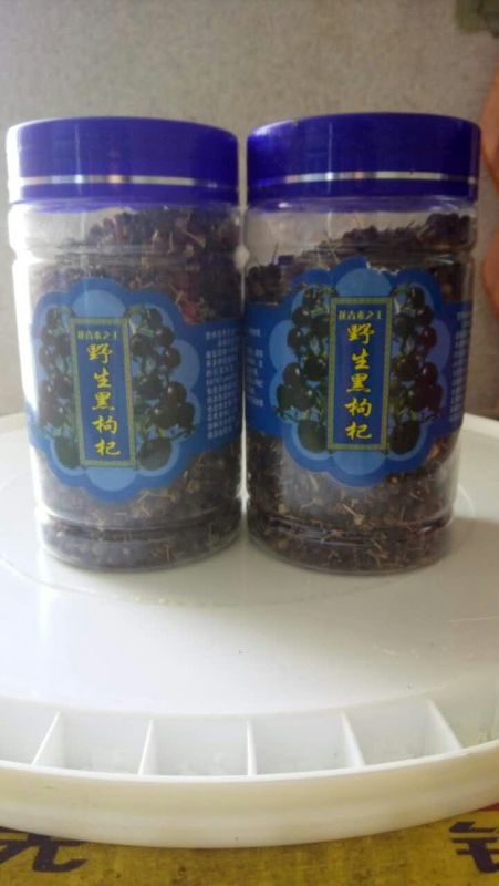 黑枸杞