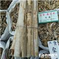 白桑皮 优质大货 泻肺平喘 利水消肿