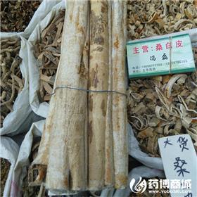 白桑皮 优质大货 泻肺平喘 利水消肿