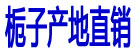 栀子产地直销