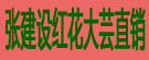 张建设红花大芸直销