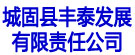城固县丰泰发展有限责任公司